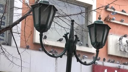 Beklenen Kar Geç de Olsa Geldi