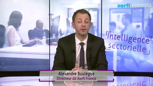 La distribution d'articles de bricolage et de jardinage [Alexandre Boulègue]