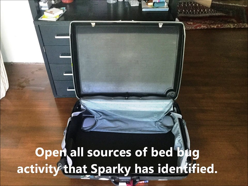 Non-Chemical Treatment for Bed Bugs by ORIGIN Exterminators