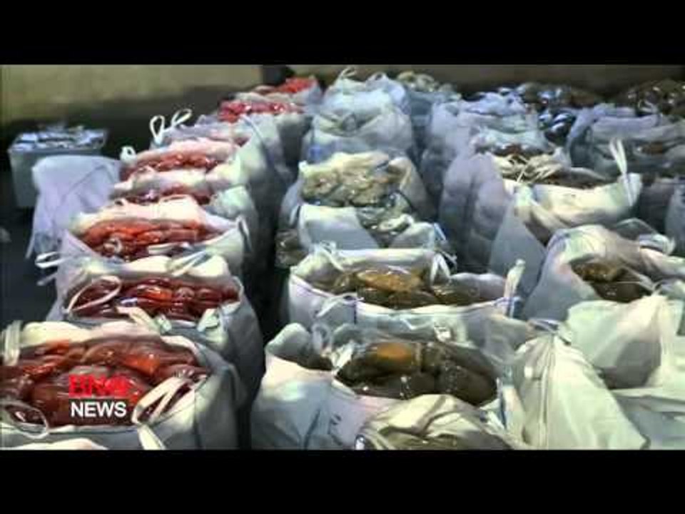 At least 32 starvation deaths reported in Syria, dozens more at risk