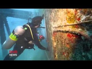 Florida reef transforms into underwater art gallery