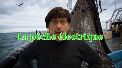 La pêche électrique en expérimentation
