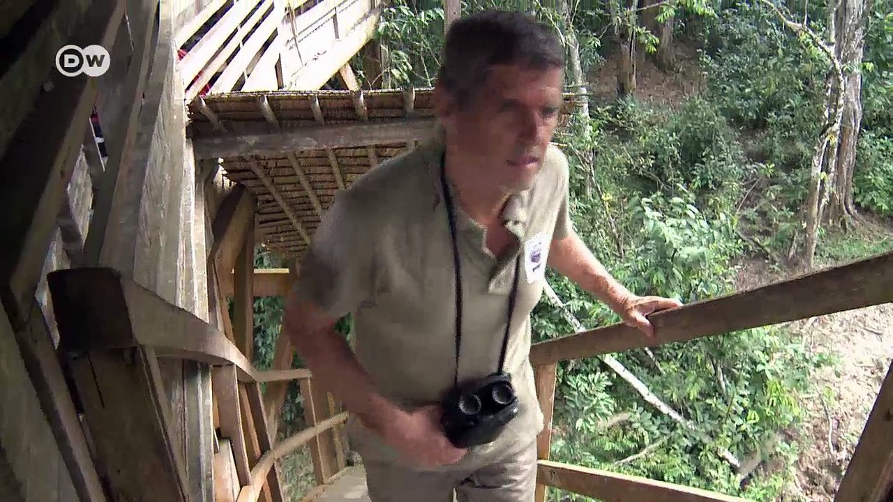 Schutz für Wildtiere in bewaffneten Konflikten | DW Deutsch