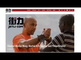 Story of Master Wong The Wing Chun Master on Jetli.com