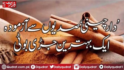 Many Benefits of Daar Chini