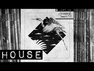 HOUSE: Monkey Safari - Cranes (Kölsch remix) [Hommage]