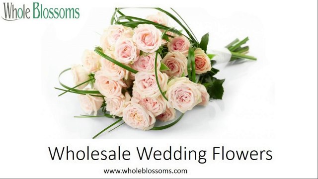 Wholesale Wedding Flowers - wholeblossoms.com