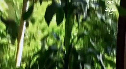 مسلسل وادي الذئاب الجزء الثالث الحلقة 19