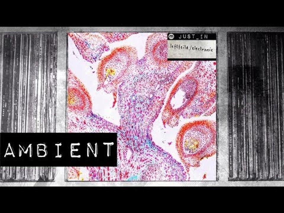 FROM - OLEANDER [Pre- Recordings]