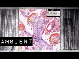 FROM - OLEANDER [Pre- Recordings]