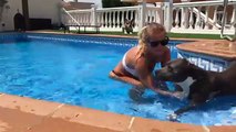 OH MY GOD! WOMAN CHASED BY A SWIMMING PIT BULL!