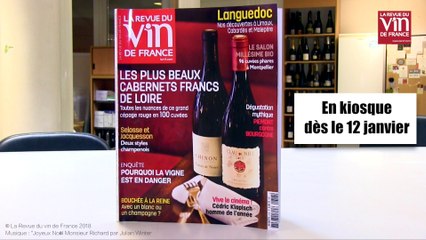Tous les dossiers chauds du vignoble sont dans La RVF de février