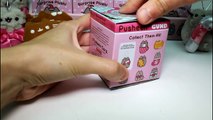 Pusheen Surprise Plush Blind Boxes Series 2 Ornaments Full Case Unboxing Opening Entire Case