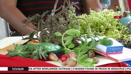 Pope apologizes for sexual abuse by a Chilean priest