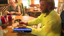 Reward Offered After Man's 2 Horses Shot in the Head in Rural Missouri