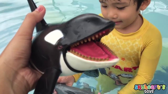 Playing with Shark Toys for Kids - Animal Planet Mega Shark & Whale Set Swimming Children