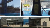 Cal Aquatics: Legends Aquatics Center Opening