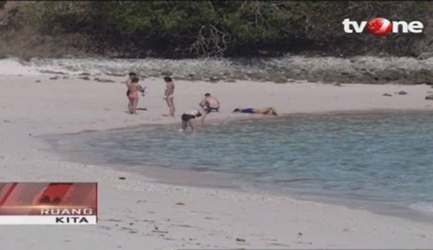 Menikmati Pesona Keindahan Pantai Pink di Lombok Timur