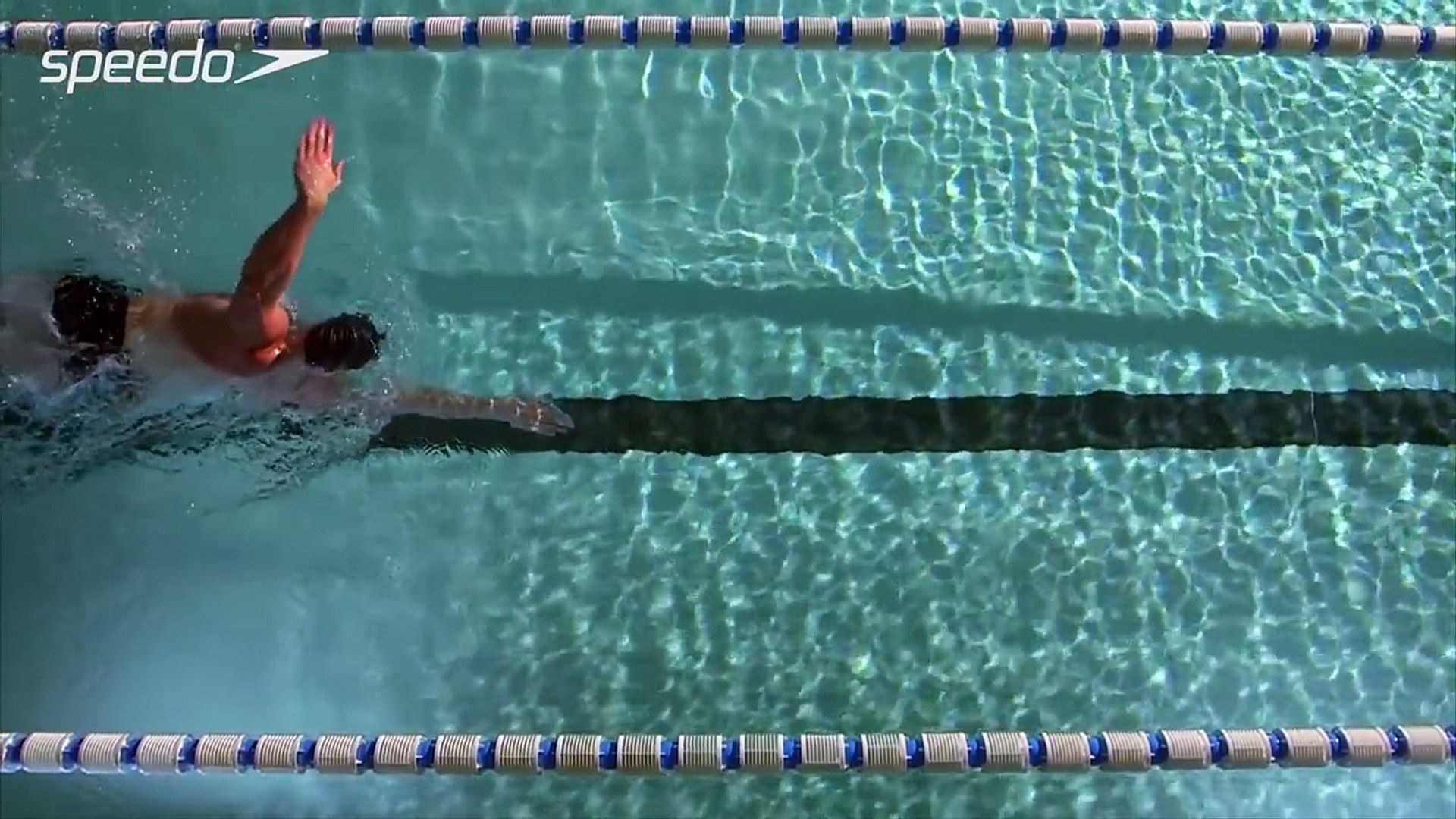 Speedo Swim Technique - Freestyle - Created by Speedo, Presented by  ProSwimwear - video dailymotion