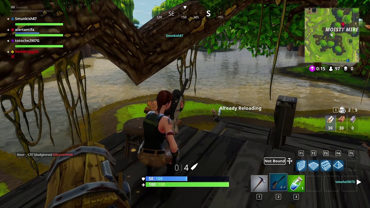 Fortnite_20180116221055