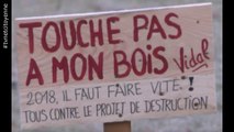 Aix les Bains: Le bois Vidal va -t-il être livré aux promoteurs ?