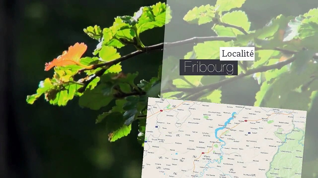 A vendre - Appartement - Fribourg (1700) - 4.5 pièces - 111m²