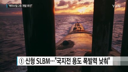 "美, 신형 SLBM 등 핵미사일 2종 개발 추진" / YTN