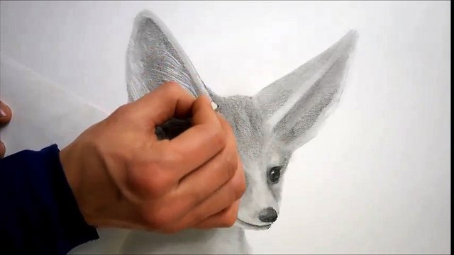 연필그림 Pencil sketch - 동물(사막여우)그리기 [Drawing animals]