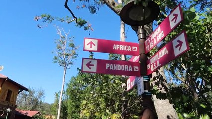 Leo's First Disney Trip to Animal Kingdom!