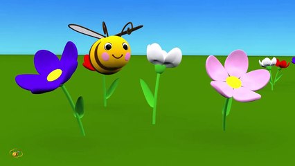 Animal sounds cartoon for kids toddl