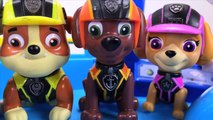 Best Learning Colors Video for Kids Paw Patrol Teach Colours Paw Patrol Toy Movie for Kids Toddlers-