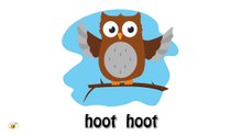 Animal sounds cartoon for kids toddlers