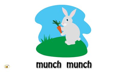 Animal sounds cartoon for kids toddlers children to learn.