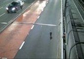 Footage Shows Wallaby Fleeing Cars on Sydney Harbour Bridge