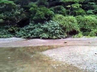 MONSTRO ESTRANHO ENCONTRADO EM LAGO
