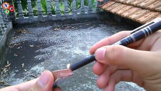 Top 4 Magic with Pen