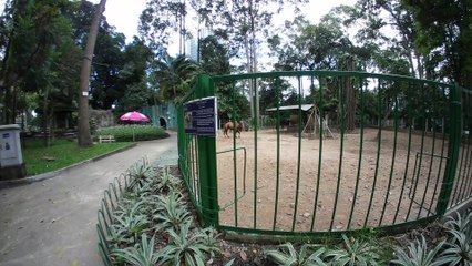 Video | Camel 2 Hump | Animal | No | 5