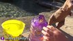 BIGGEST BUBBLES   Shark Eats Them! We Feed Our Pig HobbyFamilyTV-HHermETkm3g