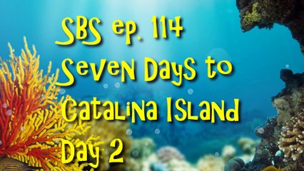 SBS ep. 114 - Seven Days to Catalina Island Day 2