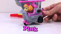 Best Learning Video for Kids Learn Colors with Paw Patrol Hot Wheels Fun Lea