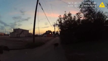 All Bad Police K9 Attacks An Innocent Woman By Mistake  Video
