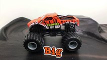 Learning Big & Small Monster Trucks for Kids - #1 Hot Wheels Monster Jam Monster Trucks for Toddlers