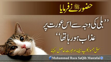 HUZOOR Ne Farmaya Billi Ki Waja Se Is Orat Pr Azaab Ho Raha Tha