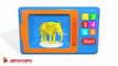 Learn Colors with Elephant  Animals for Children #h - Learn Colours with Animals for Kid