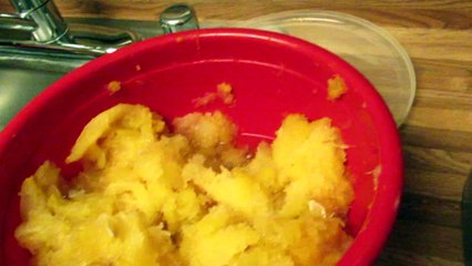 Making Vegan Pumpkin Pie