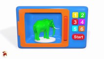 Learn Colors with Elephant  Animals for Children #h - Learn Colours with Animals