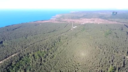 Sinoplular Nükleer Santral Konusunu Değerlendirdi