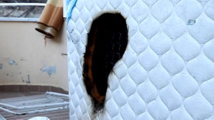 Elektrikli Battaniye Az Kalsın Faciaya Neden Oluyordu