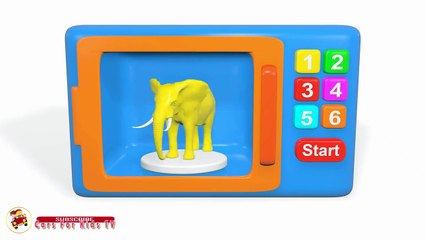 Learn Colors with Elephant  Animals for Children