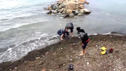 Suni Teneffüsle Müdahale Edilen Yaralı Yunus Kurtarılamadı